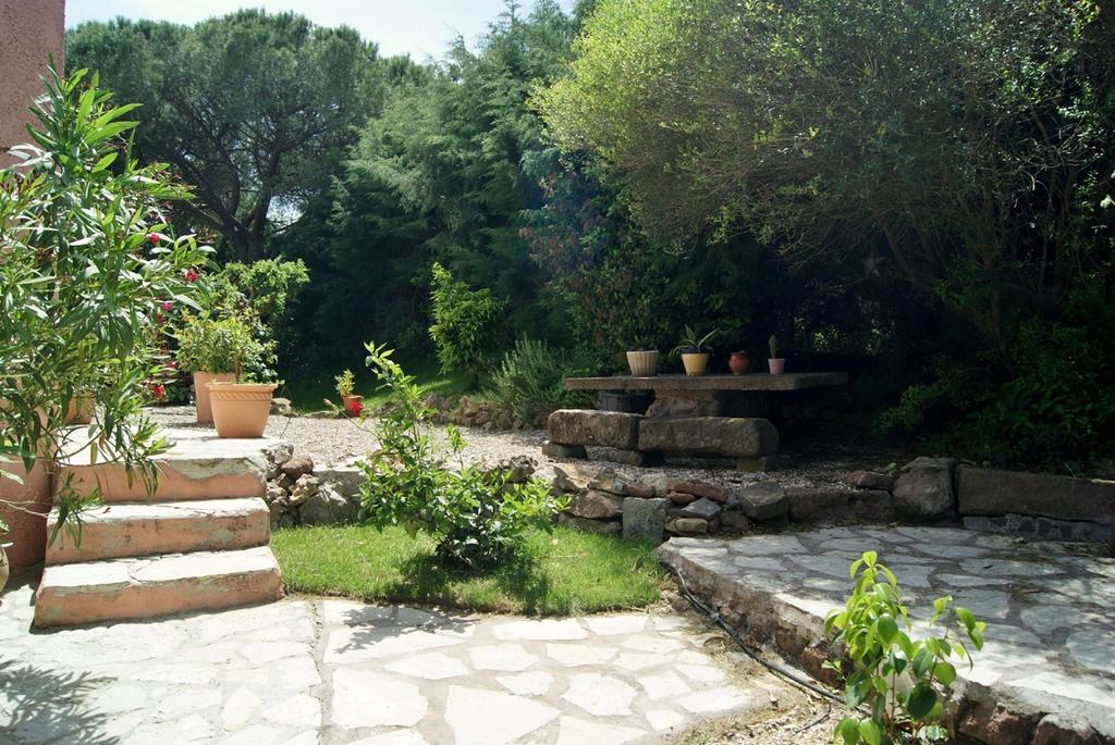 Le Mas Du Bijou Bleu Puget-sur Argens Kültér fotó