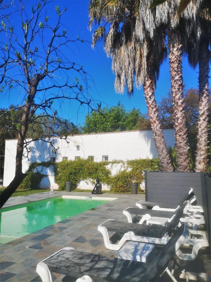 Le Mas Du Bijou Bleu Puget-sur Argens Kültér fotó